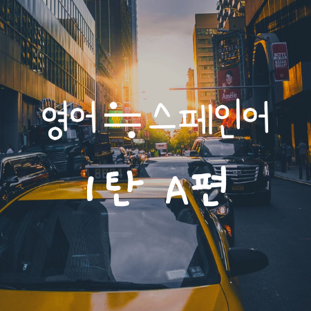  A로 시작하는 영어와 스펠링이 같은 스페인어 단어, tion, cion 편