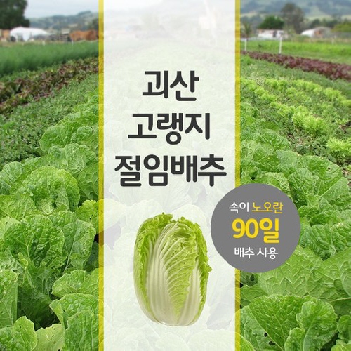 잘나가는 괴산절임배추, 20kg, 03월29일목도착, 문자주세요 010-9475-8700 추천합니다