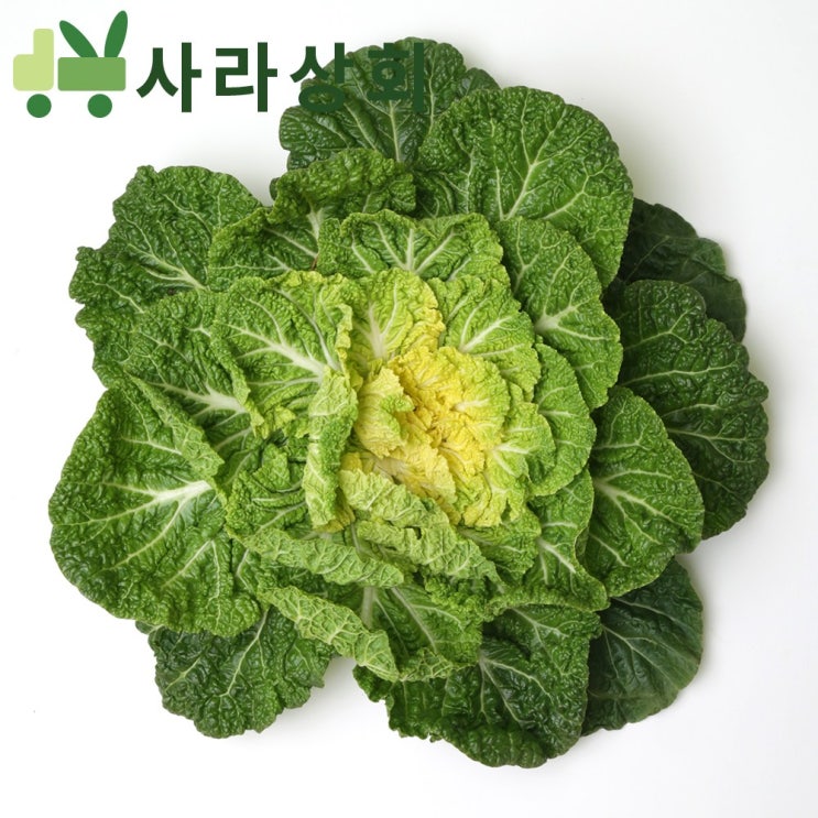 인지도 있는 사라상회 봄동 배추 10Kg, 1박스, 8Kg ··· 인지도 있는 사라상회 봄동 배추 10Kg, 1박스, 8Kg ···