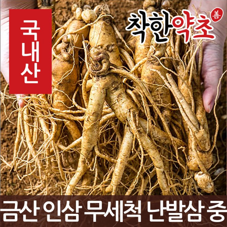 많이 팔린 착한약초 금산 인삼 50종 수삼 삼계용 인삼주키트 선물세트, 1개, 1I8V_금산 인삼 무세척 난발삼 중 750g 추천합니다