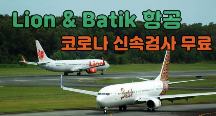  라이언항공 & 바틱항공 탑승자 국내선 코노나 검사 무료