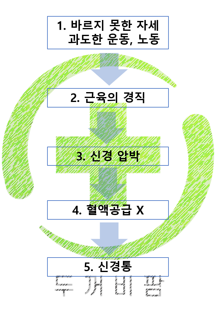  신경비타민