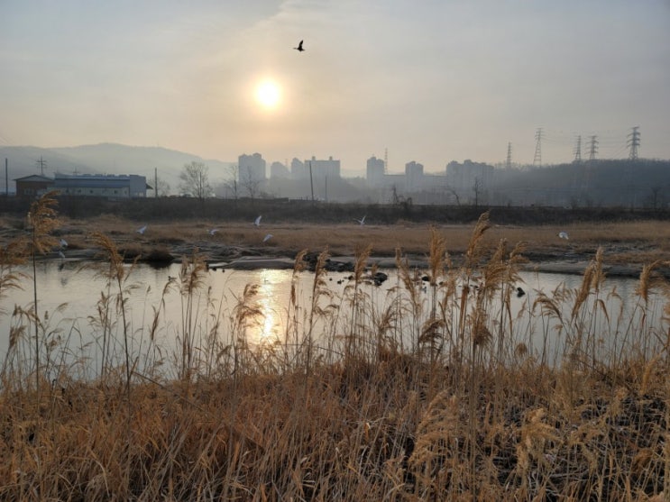 희망의 나라로 출발~~~