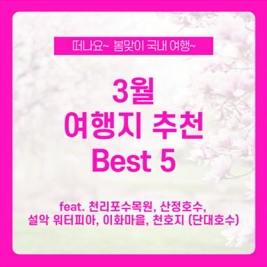 3월 여행 어디가지? 봄맞이 나들이 3월 여행지 추천 Best 5 / 천리포수목원, 산정호수, 설악 워터피아, 이화마을, 천호지 단대호수 3월 여행 어디가지? 봄맞이 나들이 3월 여행지 추천 Best 5 / 천리포수목원, 산정호수, 설악 워터피아, 이화마을, 천호지 단대호수