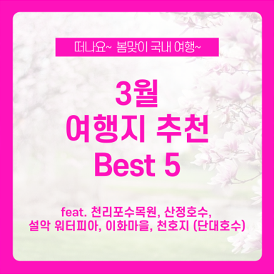 3월 여행 어디가지? 봄맞이 나들이 3월 여행지 추천 Best 5 / 천리포수목원, 산정호수, 설악 워터피아, 이화마을, 천호지 단대호수