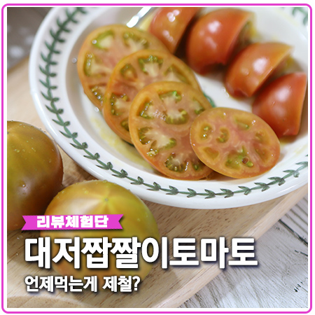 대저짭짤이토마토 언제 먹는게 좋은 제철과일? 대저짭짤이토마토 언제 먹는게 좋은 제철과일?
