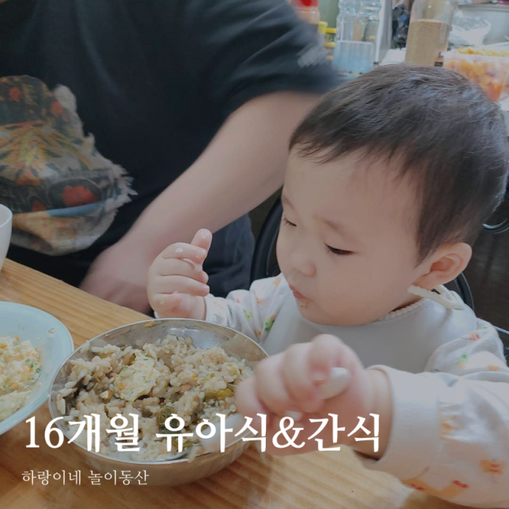  16개월 아기 유아식 식단 간식 모음
