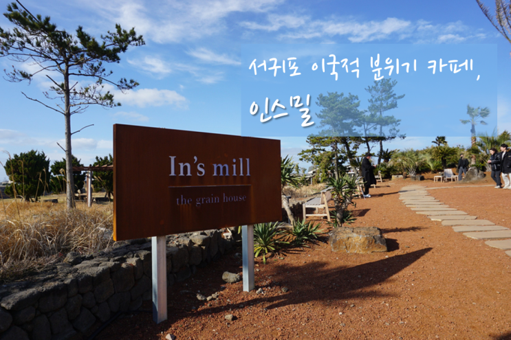  서귀포 카페 인스밀 ; 이국적인 분위기 특이한 메뉴 (애견동반)