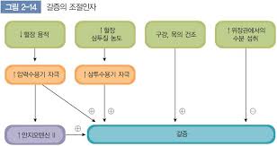 성인간호학 체액조절기전 갈증중추 항이뇨호르몬 알도스테론 레닌안지오텐신