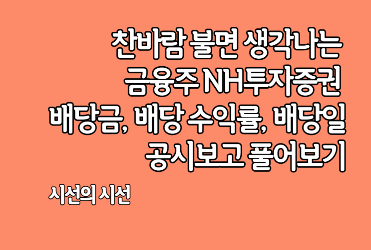  NH투자증권 배당금, 배당수익률 등 금융주 네 번째 이야기