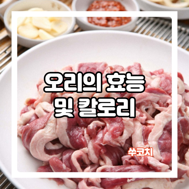 오리고기 효능 및 칼로리 알아봐요 - A2