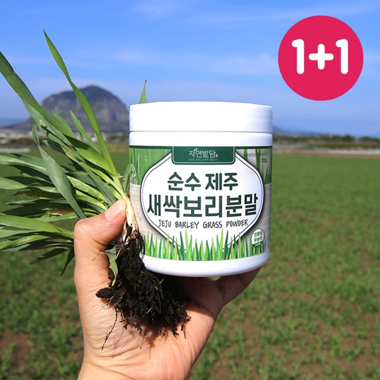 잘나가는 순수 제주 새싹보리 분말 1+1 에어분쇄 친환경 무농약 저온건조 보리어린잎 자연밭담, 2개, 170g ··· 잘나가는 순수 제주 새싹보리 분말 1+1 에어분쇄 친환경 무농약 저온건조 보리어린잎 자연밭담, 2개, 170g ···