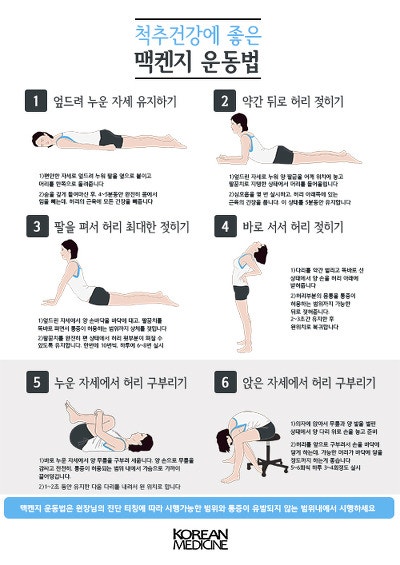 허리 통증 완화 운동/척추에 좋은 3