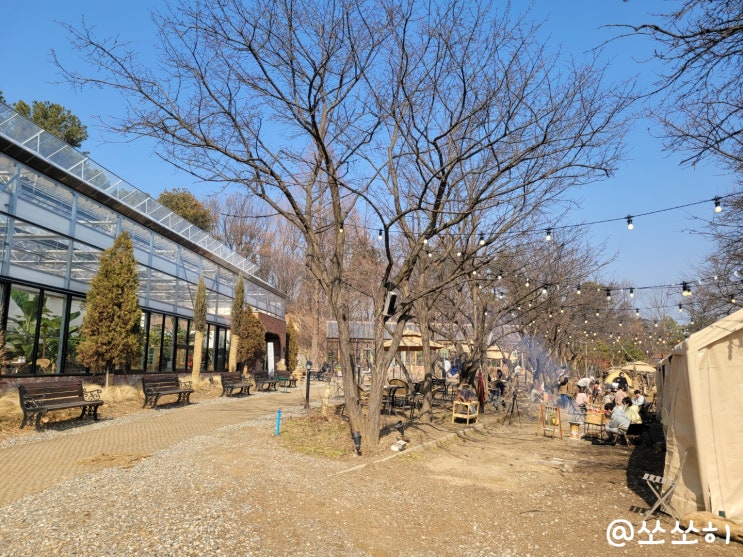  더포레 카페 아이랑 가기 최고