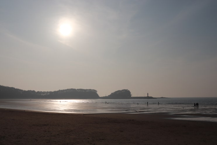 충남 여행 가볼 만한 곳 - 태안 만리포 해수욕장