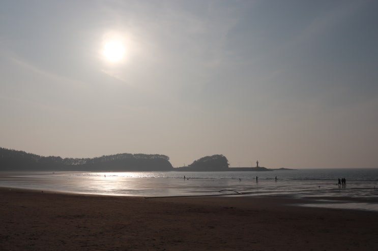  충남 여행 가볼 만한 곳 - 태안 만리포 해수욕장