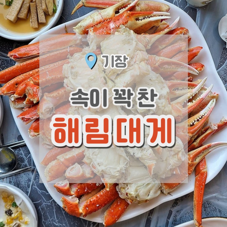  기장 해림대게 : 기장에서 속이 꽉 찬 대게와 킹크랩 먹고왔어요.