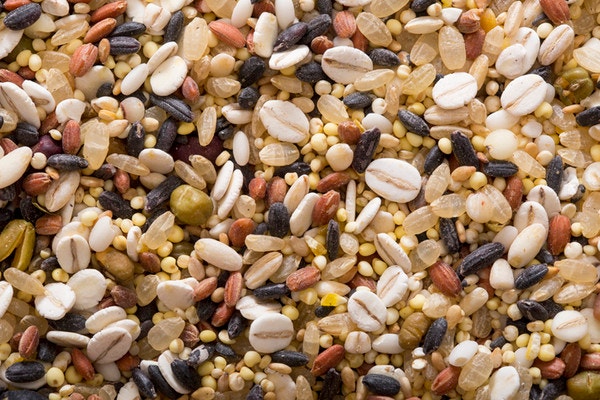 아토피, 건선, 한포진등 자가면역질환 5