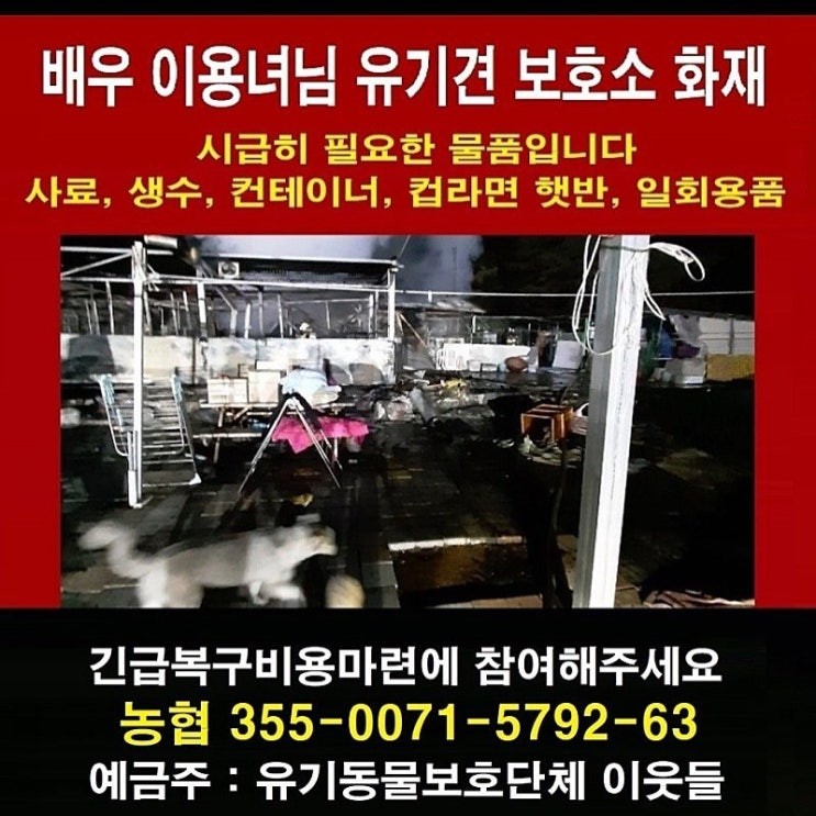 이용녀 유기견보호소 화재로 도움이 필요합니다.
