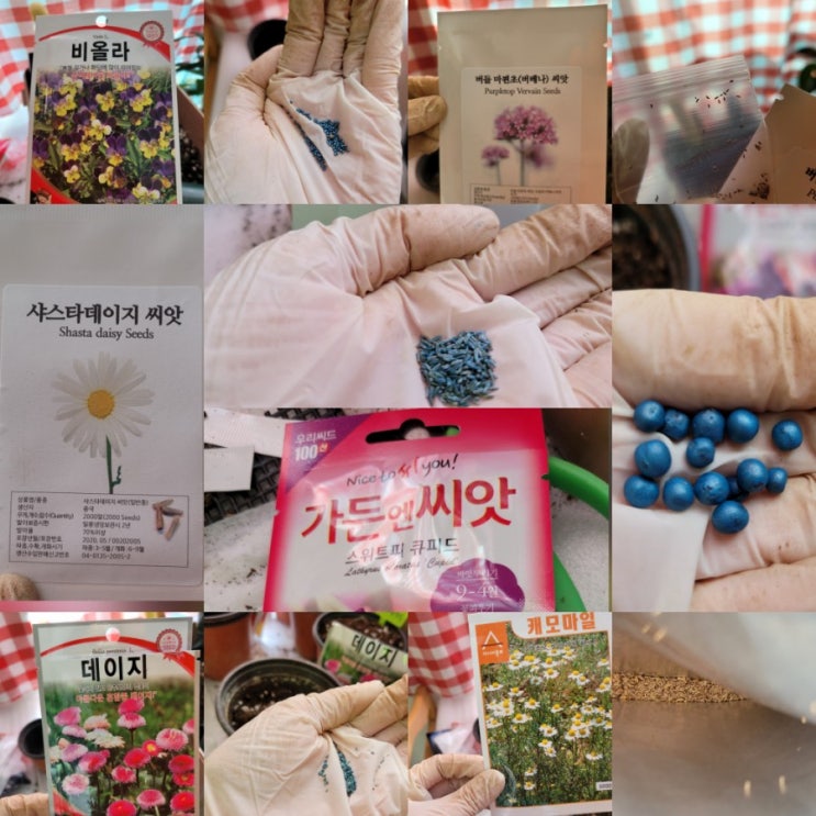  씨앗 파종하는법,파종방법, 암발아, 광발아