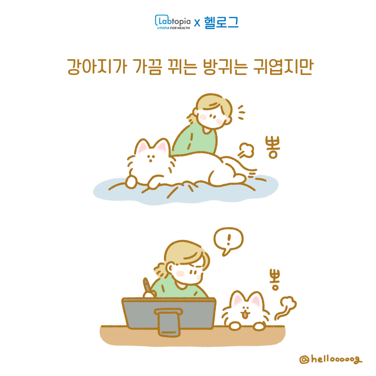  [장토피아X헬로그] 웹툰으로 알아보는 강아지유산균의 효과! 방귀는 그만ㅠㅠ