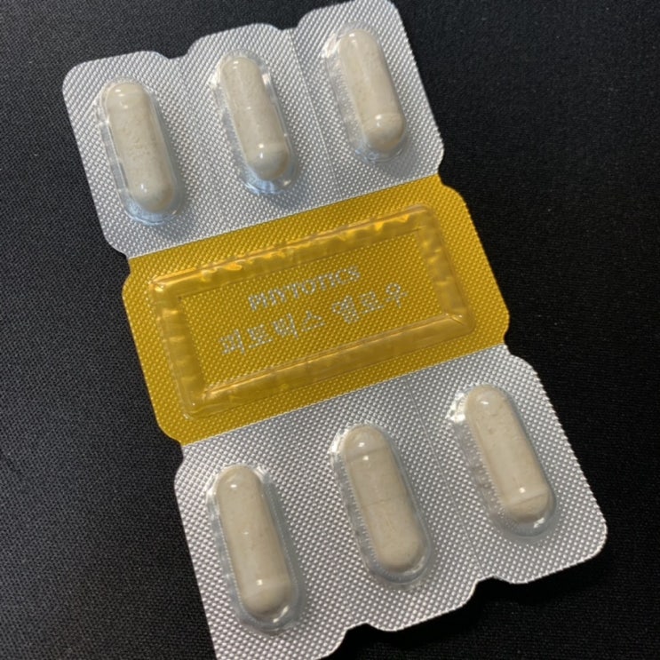  피토틱스 옐로우 내돈내산