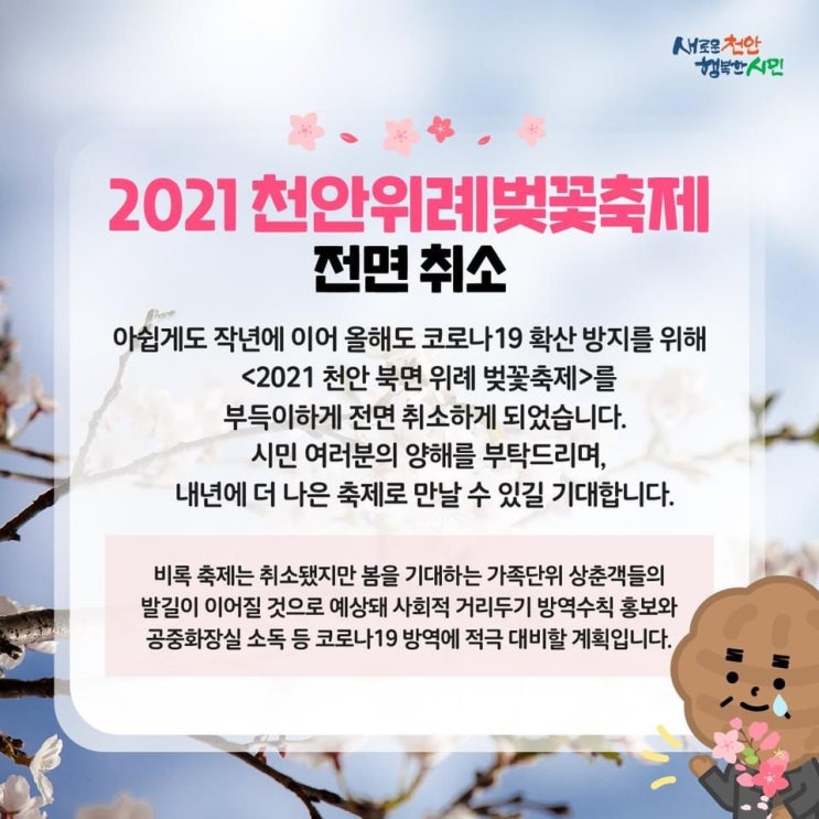 2021 천안위례벚꽃축제 전면 취소 | 천안시청페이스북