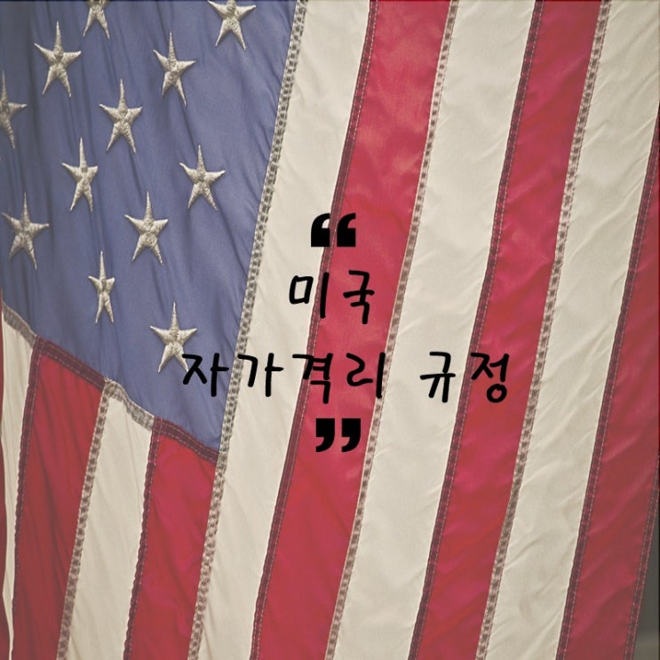  미국 주별 자가격리 규정
