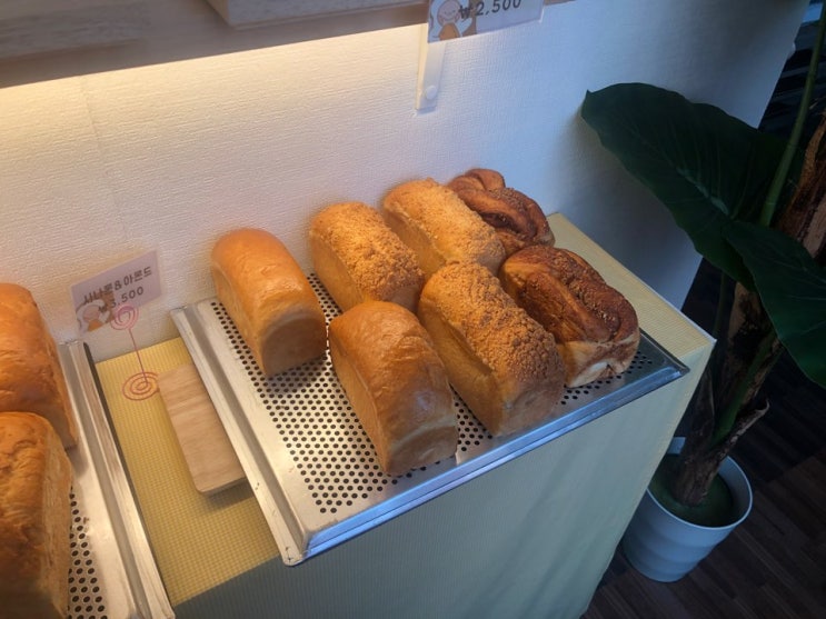 [송정역 빵집] 추봉베이커리 새로 생긴 식빵맛집