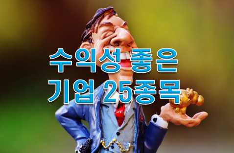  주식공부 수익성이 좋은 기업 25종목!!!