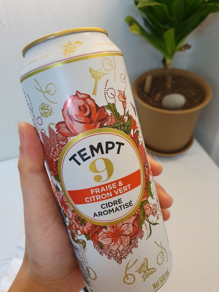  알쓰의 맥주 <템트9>/ 들어는 보셨나요 알콜알레르기
