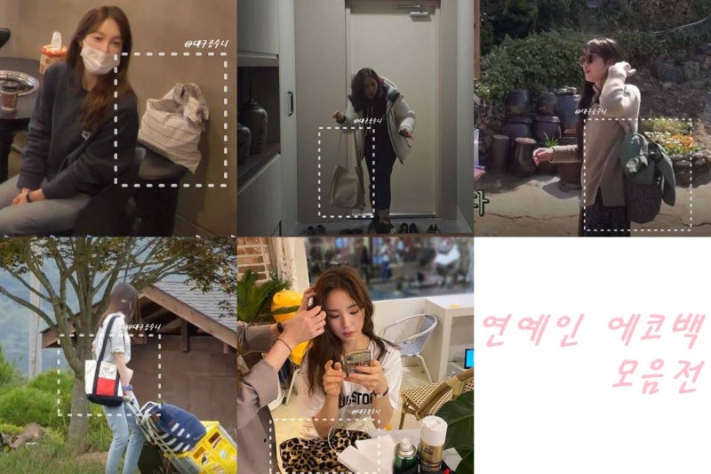 Shin Se-kyung, Son Ye-jin, Lee Ji-ah, IU, Gong Hyo-jin: Celebrity Eco Bags - A Roundup of Pretty Daily Bags