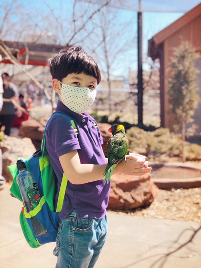 오클라호마 동물원(Oklahoma City Zoo)-로리킷 먹이주기