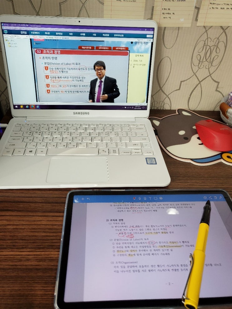  3월 9일 화요일