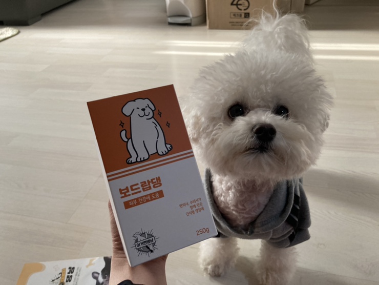  댕댕이가 잘 먹는 강아지 피부 영양제 : 보드랍댕
