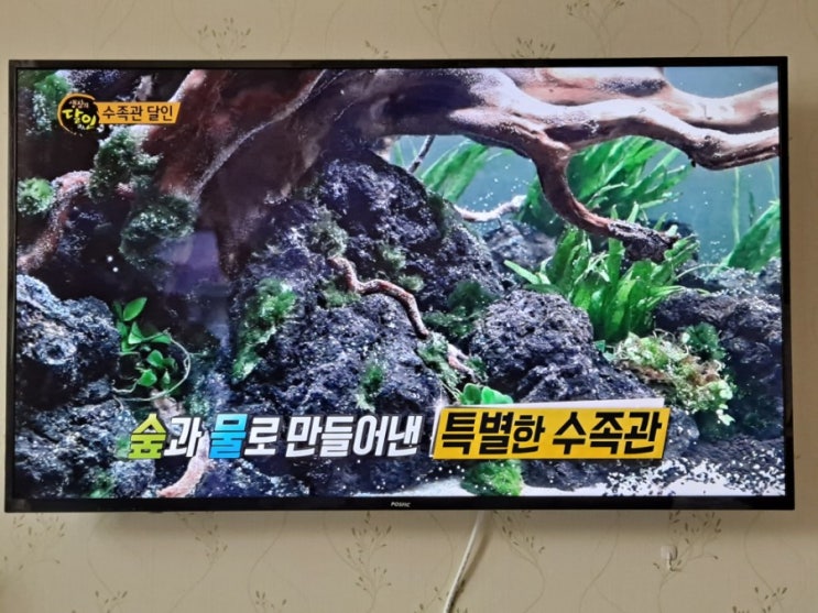  땡구의 물생활 - 생활의 달인에서 블로그 이웃님을 뵈었어요