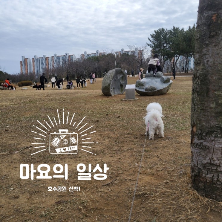  마요의 일상:) 호수공원 산책!