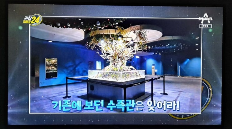  (채널A) 관찰카메라24 / 아쿠아가든 나왔어요~