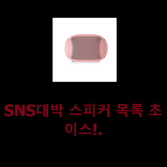 SNS대박 스피커 목록 초이스!.