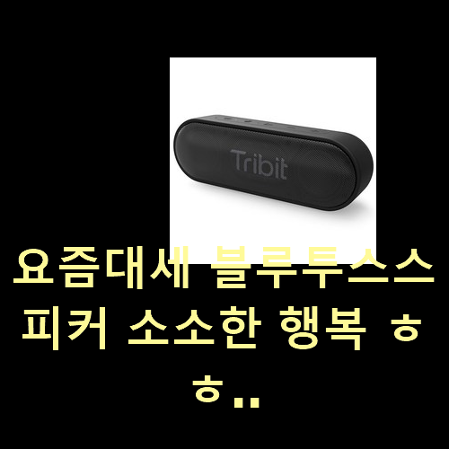  요즘대세 블루투스스피커 소소한 행복 ㅎㅎ..