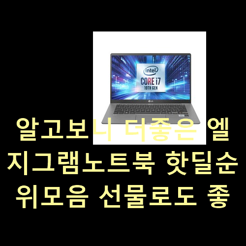 알고보니 더좋은 엘지그램노트북 핫딜순위모음 선물로도 좋을거같네요