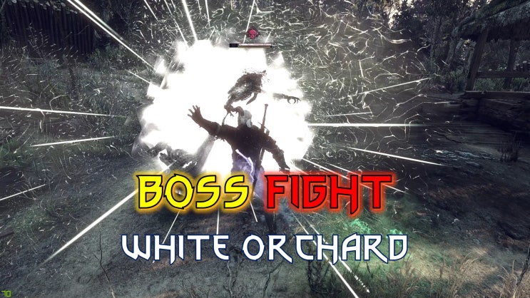 Witcher 3 Boss Fight - White Orchard (Stronger than Death March) / 위쳐 3 보스 공략 - 백색과수원 (죽행보다 더 강한 적)