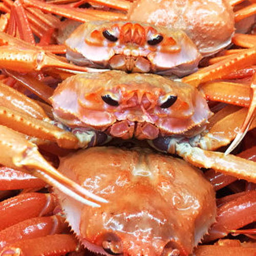 인기 많은 청춘홍게 일반 고급 3kg 5kg, 일반 3kg 자숙(찐상태) ··· 인기 많은 청춘홍게 일반 고급 3kg 5kg, 일반 3kg 자숙(찐상태) ···