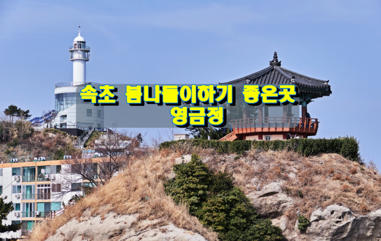 속초 봄나들이하기 좋은곳, 영금정 속초 봄나들이하기 좋은곳, 영금정