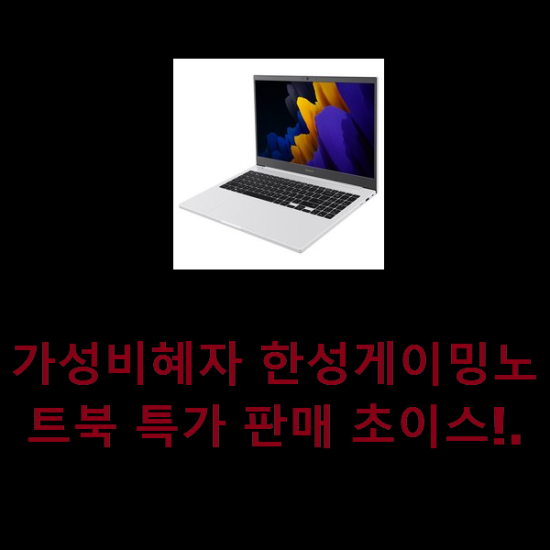 가성비혜자 한성게이밍노트북 특가 판매 초이스!.
