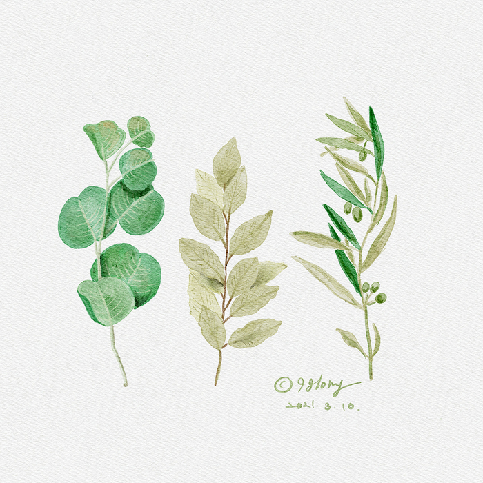  37일차- 아이패드 그림