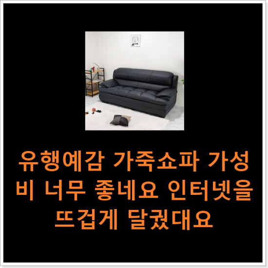 유행예감 가죽쇼파 가성비 너무 좋네요 인터넷을 뜨겁게 달궜대요