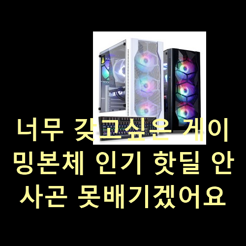  너무 갖고싶은 게이밍본체 인기 핫딜 안사곤 못배기겠어요 ㅋㅋ