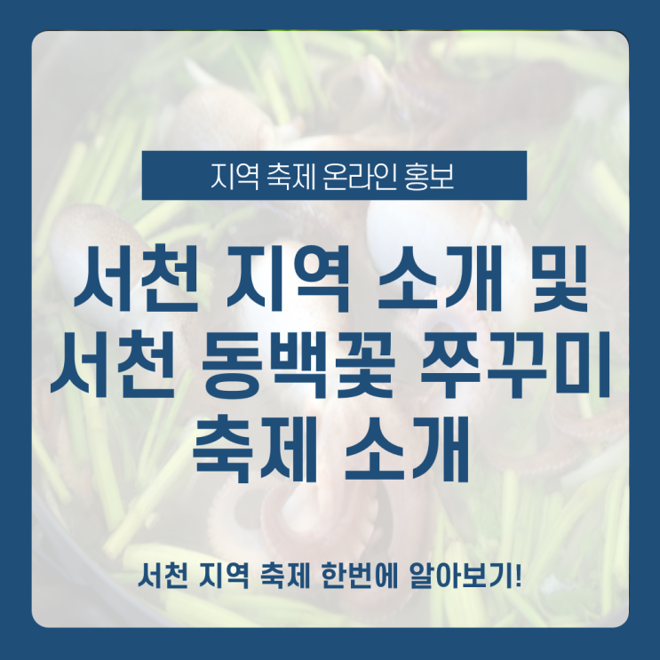  서천 지역 소개 및 서천 동백꽃 쭈꾸미 축제 소개 _ 3월 지역 축제 알아보기