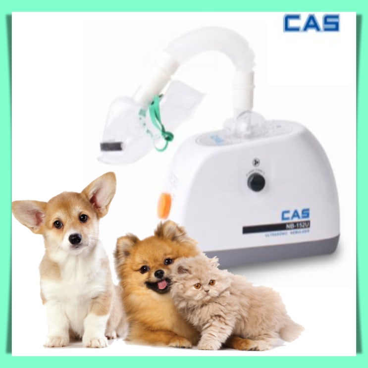 당신만 모르는 강아지 고양이 네블라이저 네뷸라이저 천식흡입기 휴대용 가정용 nebulizer 호흡기치료기, 1개 추천합니다 당신만 모르는 강아지 고양이 네블라이저 네뷸라이저 천식흡입기 휴대용 가정용 nebulizer 호흡기치료기, 1개 추천합니다